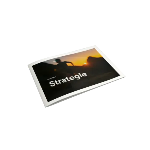 [5] Starter Guide – Strategie